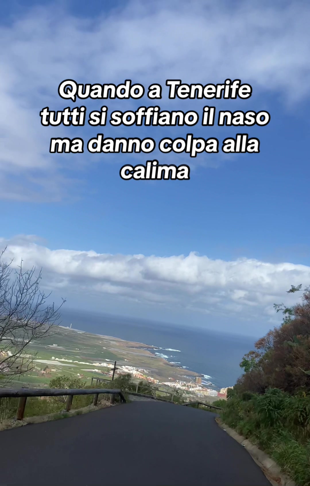 @MartinaCriconia