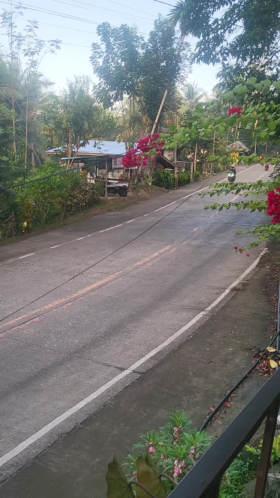 @Nelo Butay