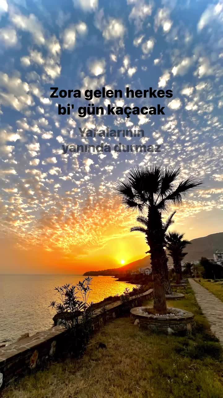 @doğu