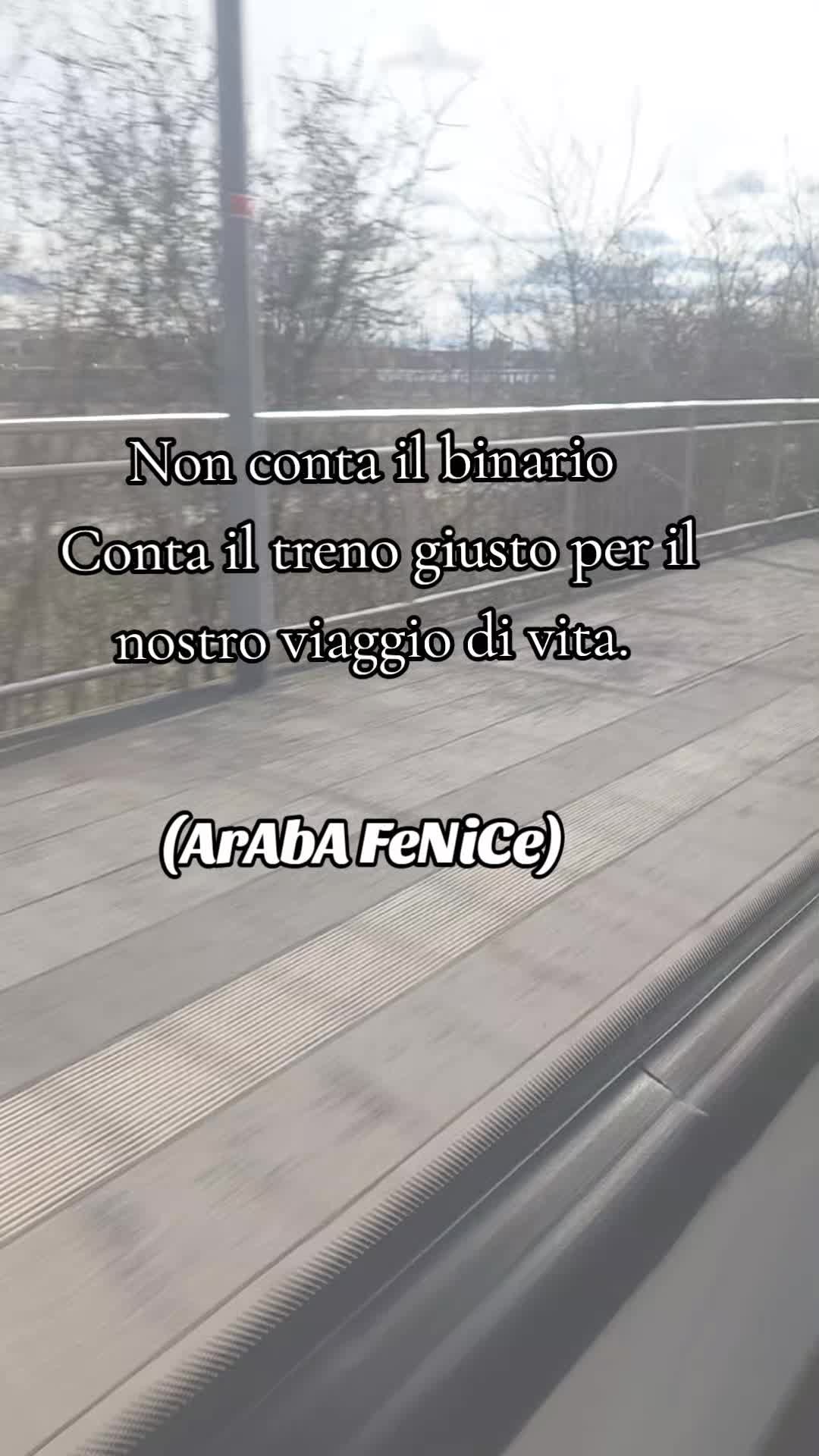 @ArAbA FeNiCe
