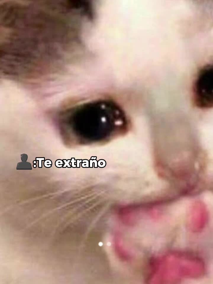 @sofii