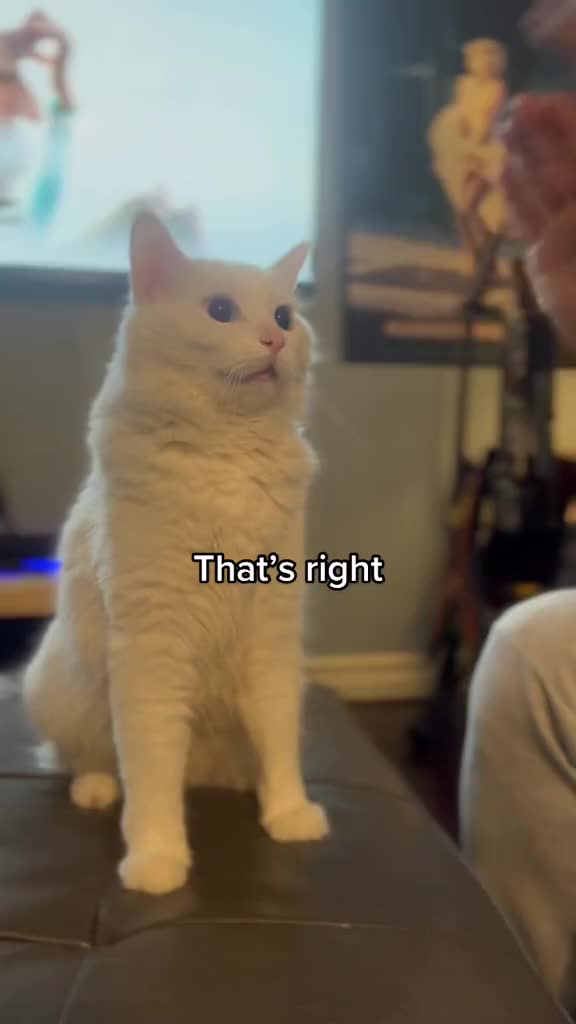 @Potato