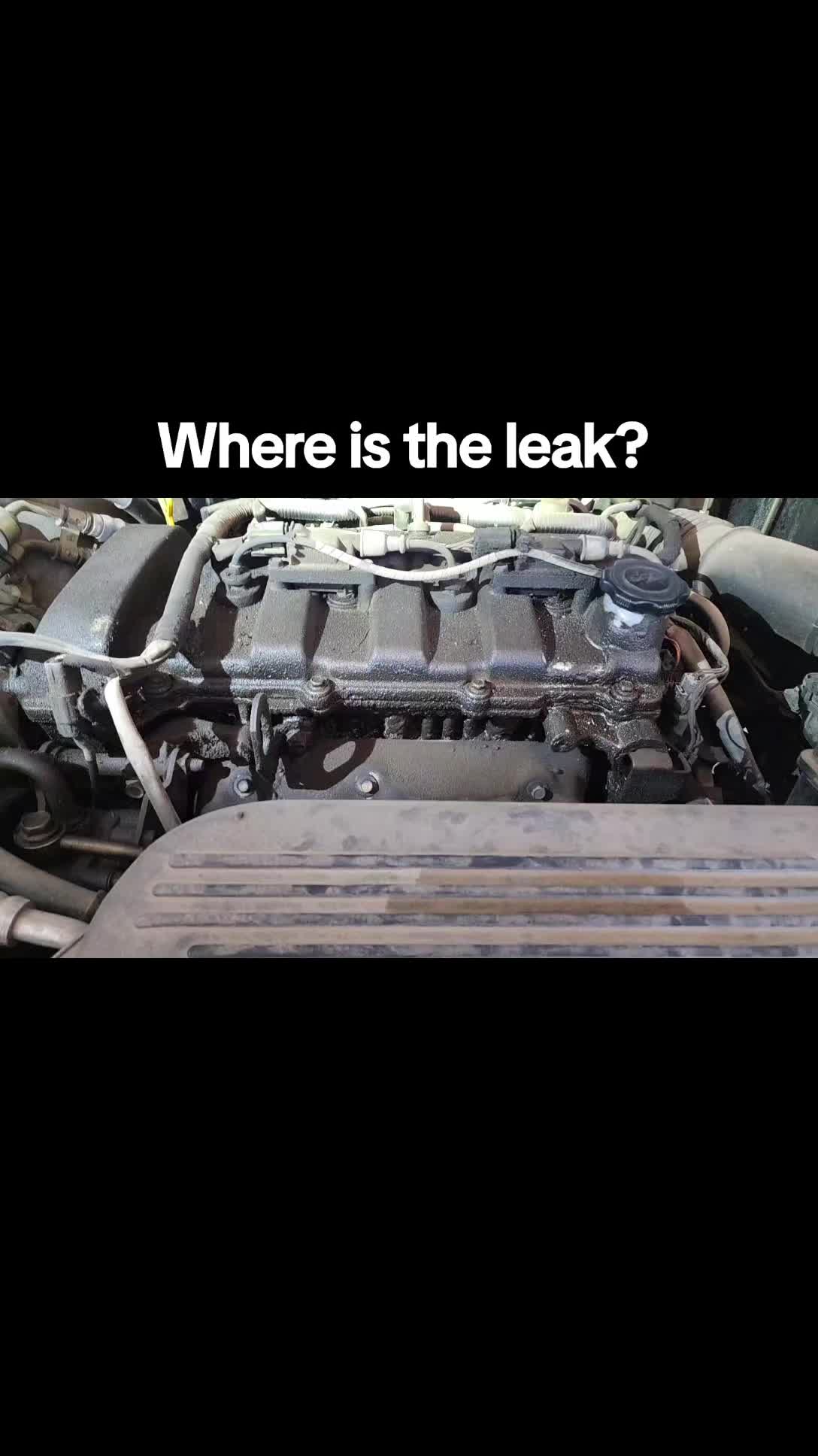 @dailydrivenshitboxes