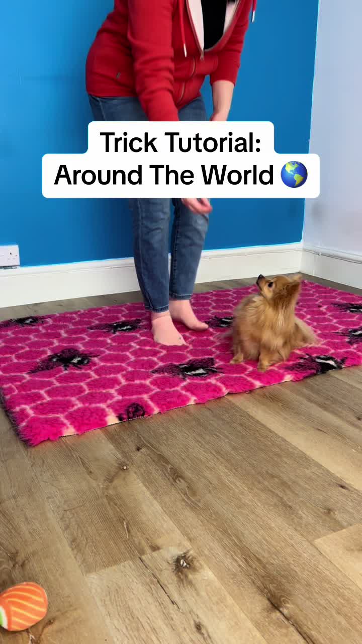 @Train Up Pup