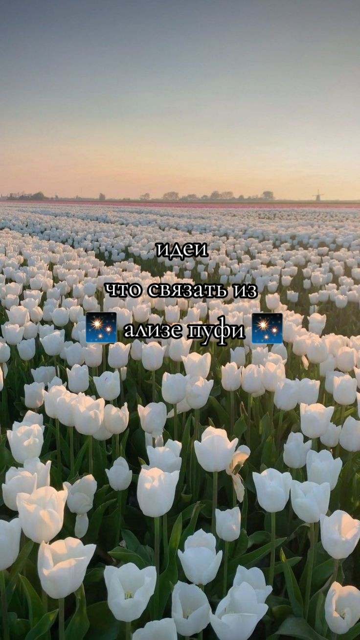 @хз