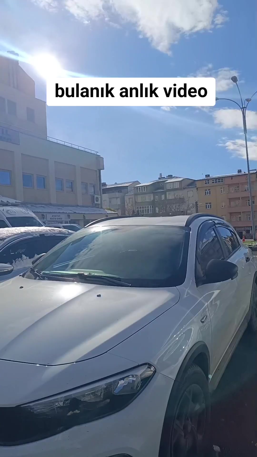 @@ Ke&ccedil;a kurda 49