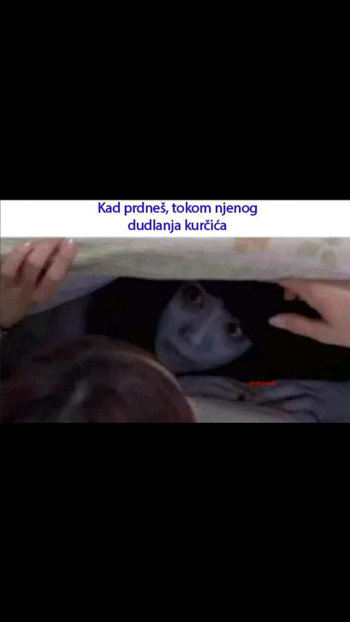@jebovnik