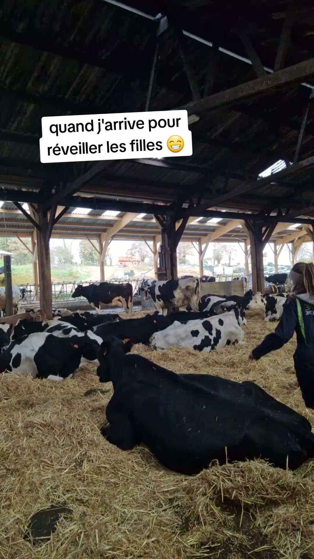 @C&eacute;line