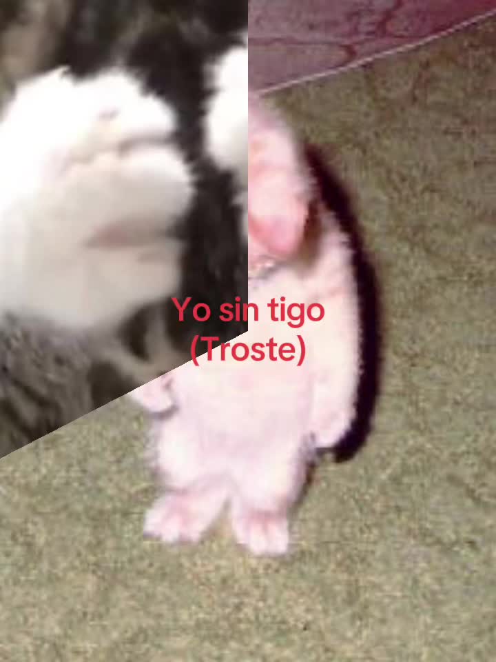 @&iexcl;★! (Bill's version)