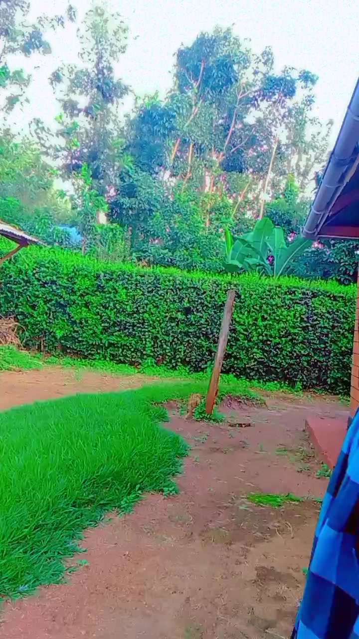 @Rembokool