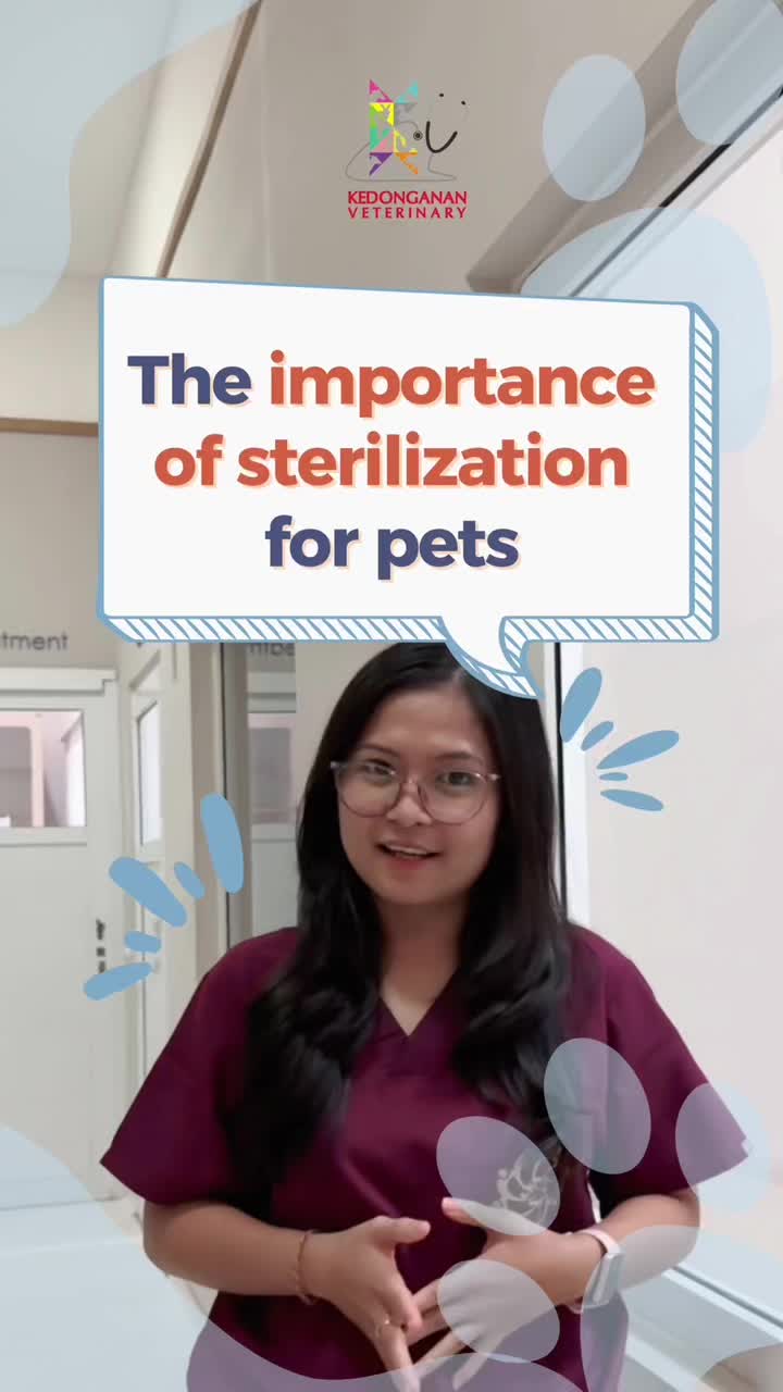 @kedonganan vet