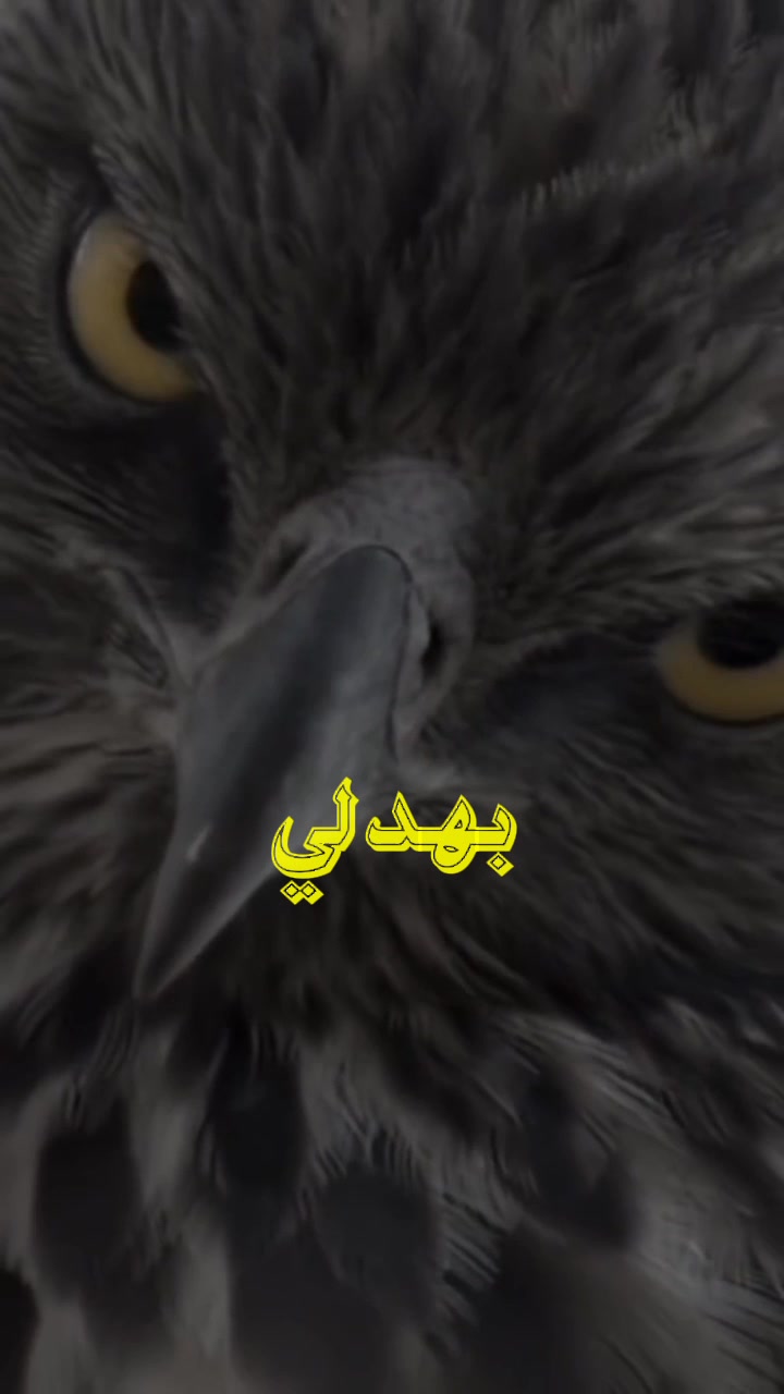 @♔〘 ابن الاكابر 〙♔