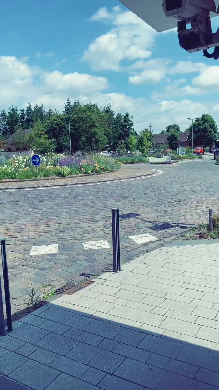 @Jul sans chicorée