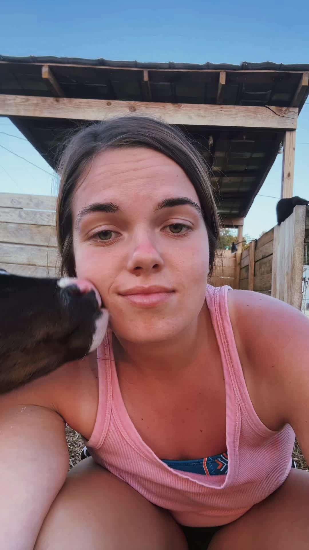 @halliebug 🐞