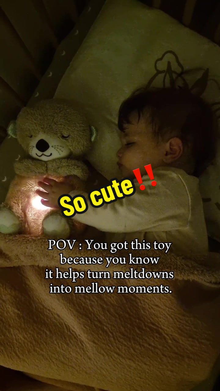 @Bebis Bear
