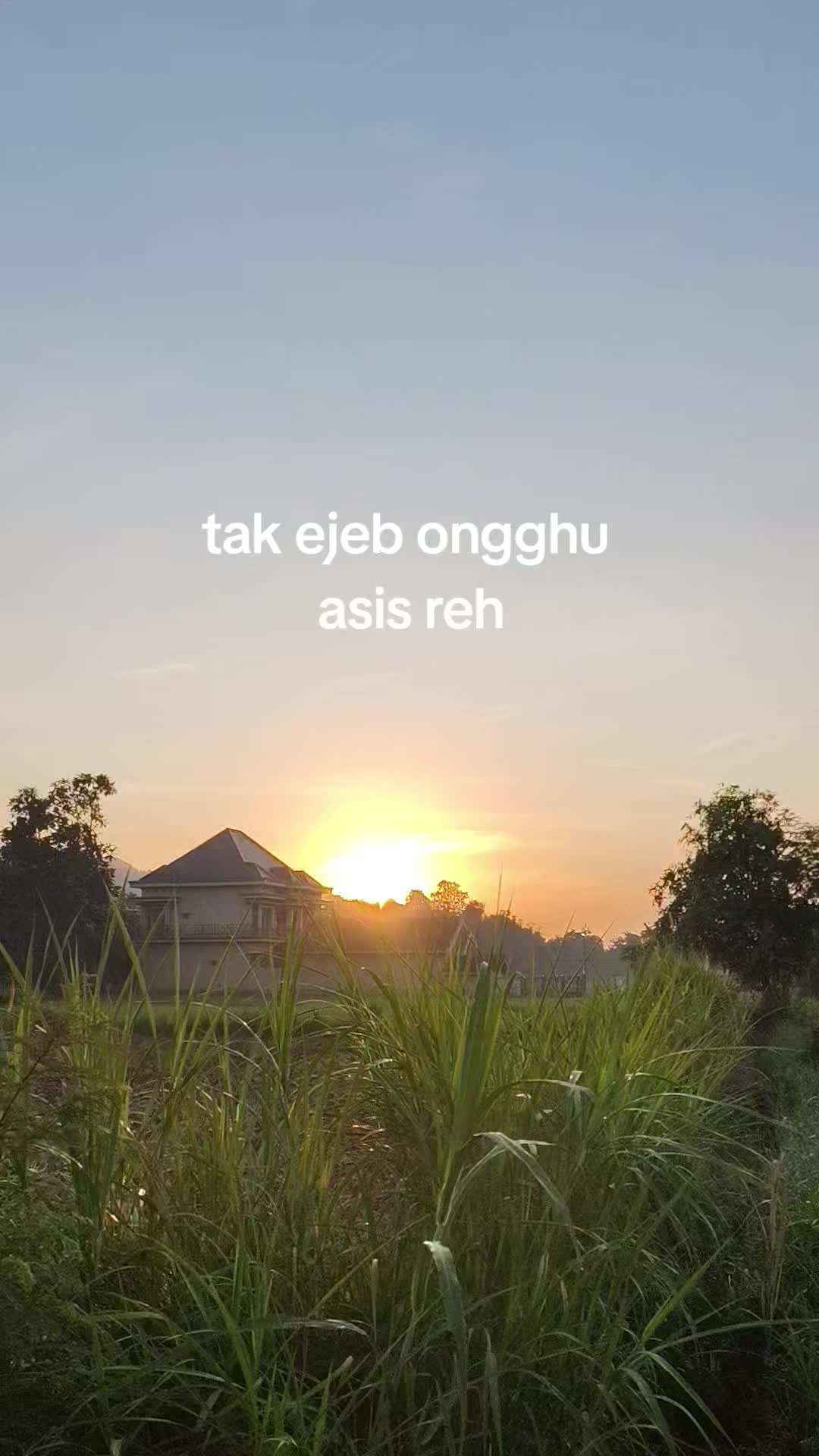 @𝘽𝘼𝙉𝙂𝘿𝙄𝙏🌾