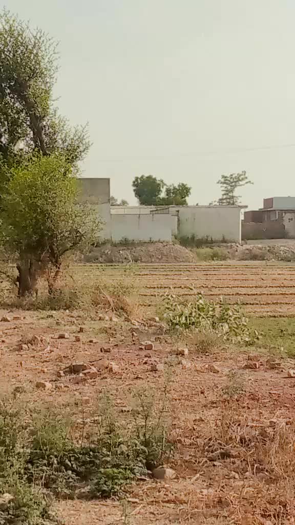 @DiLwaLy71