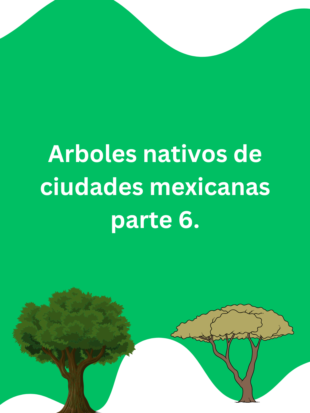 @Ecoversi&oacute;n