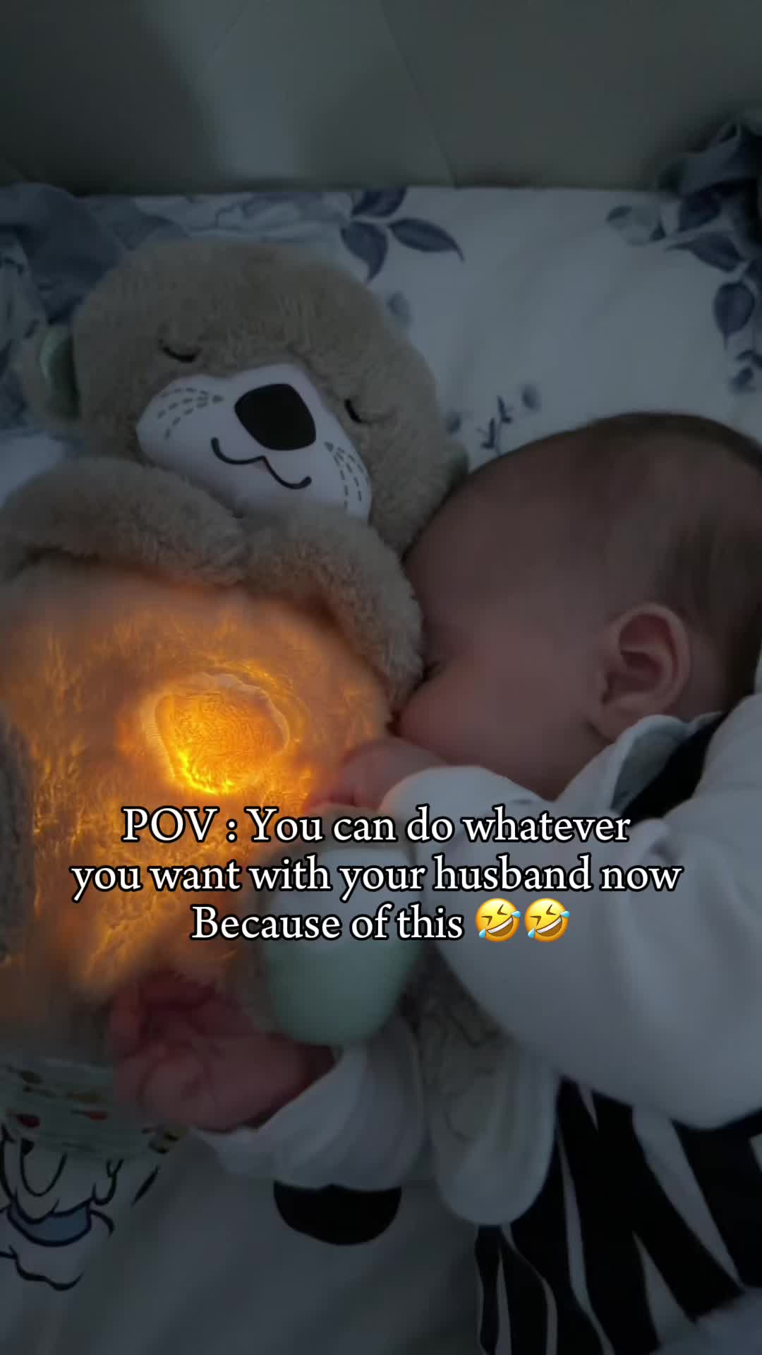 @Bebis Bear