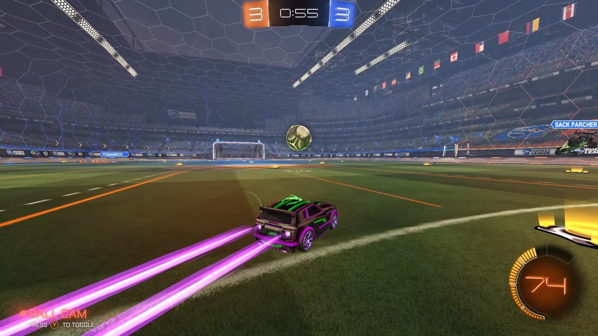 @That1BearGuy - RL