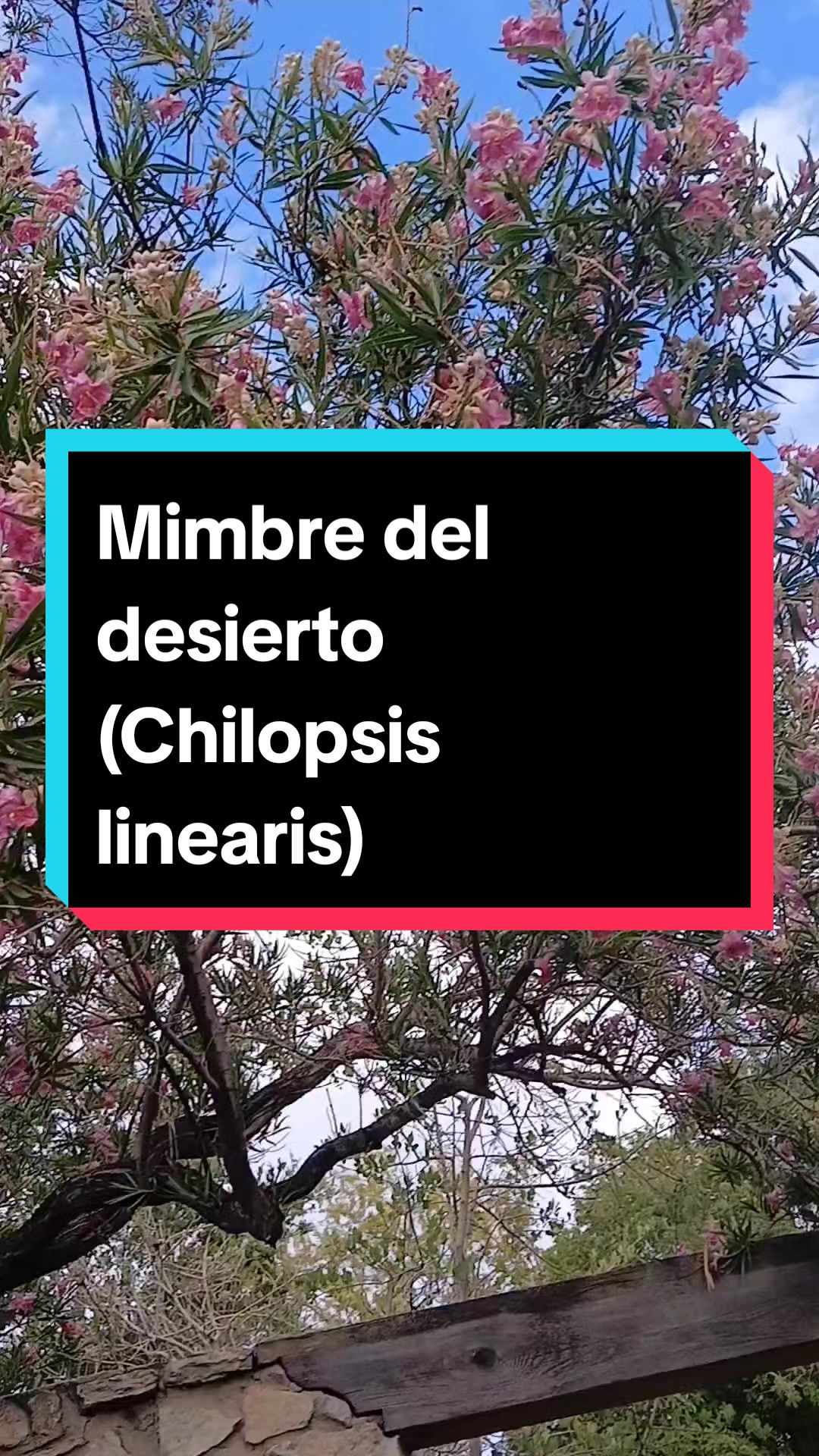 @Ecoversi&oacute;n