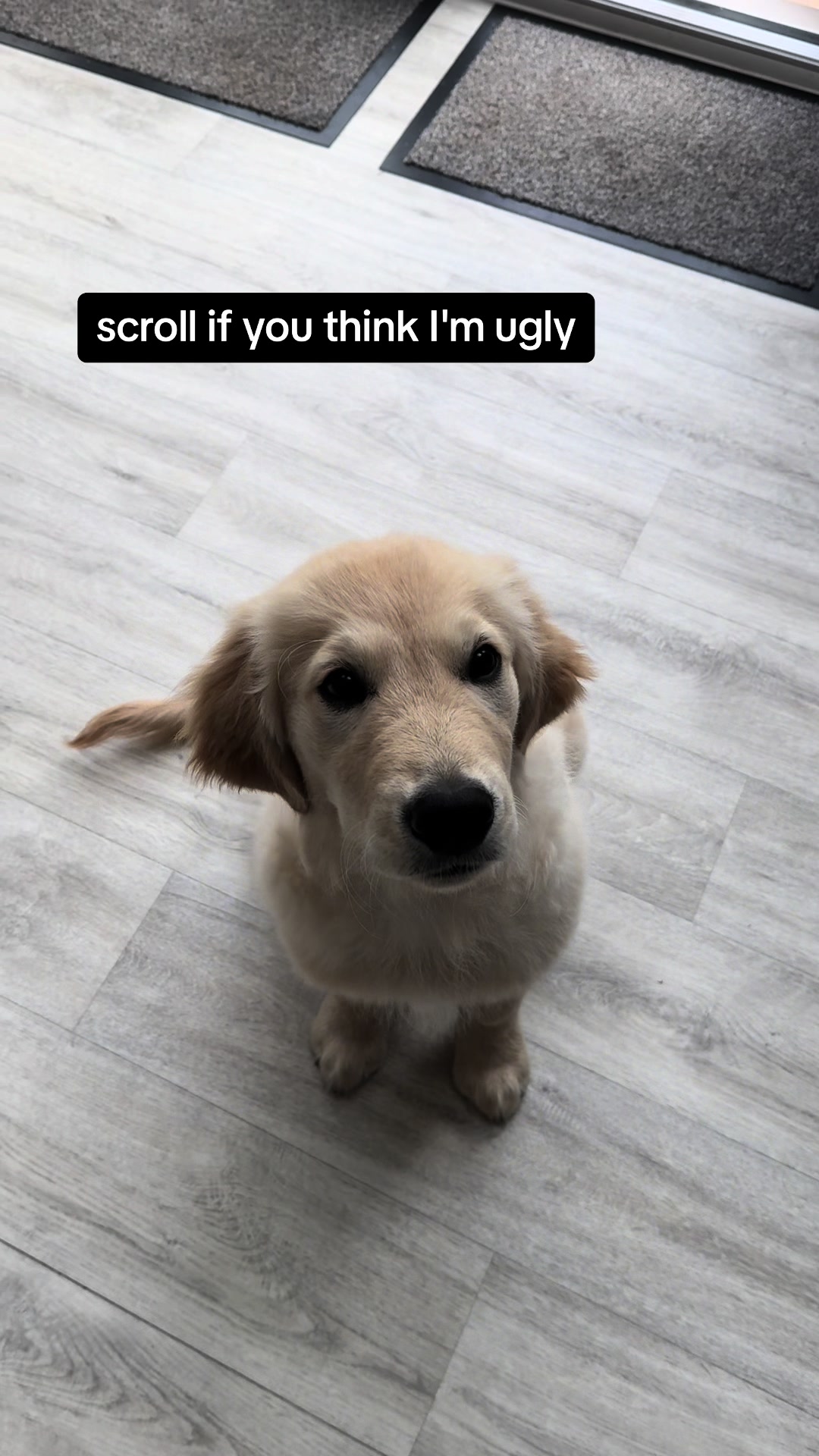 @Abbie 🤍