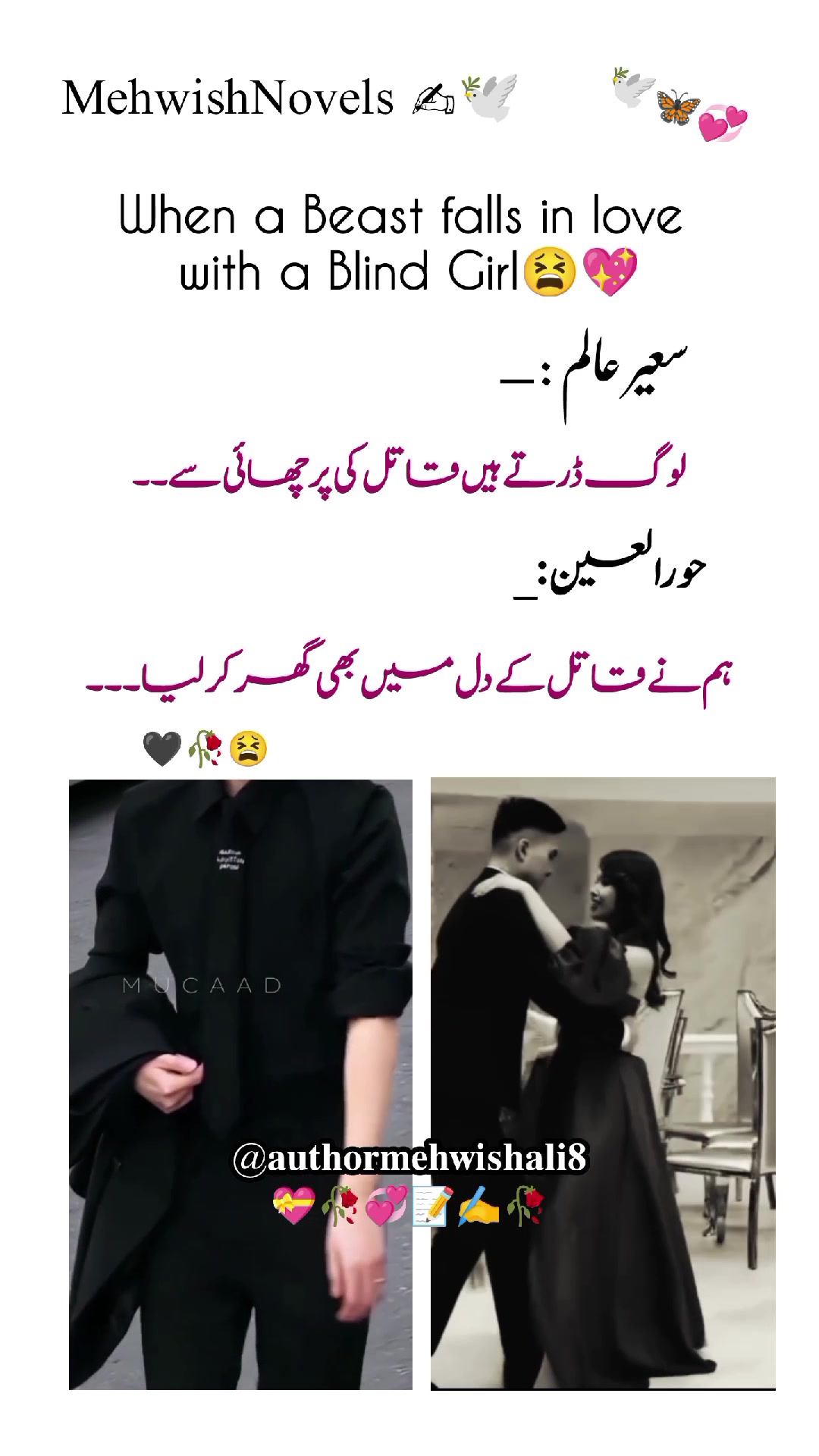 @M͢e͢h͢w͢i͢s͢h͢ A͢l͢i͢ ✍️📝🥀