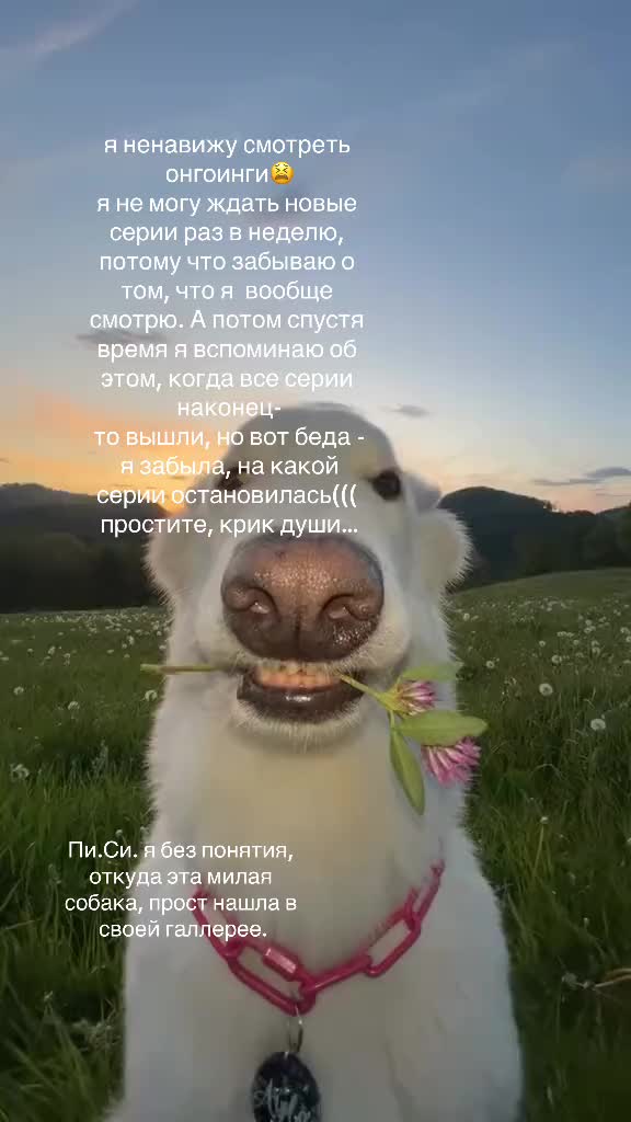 @👾