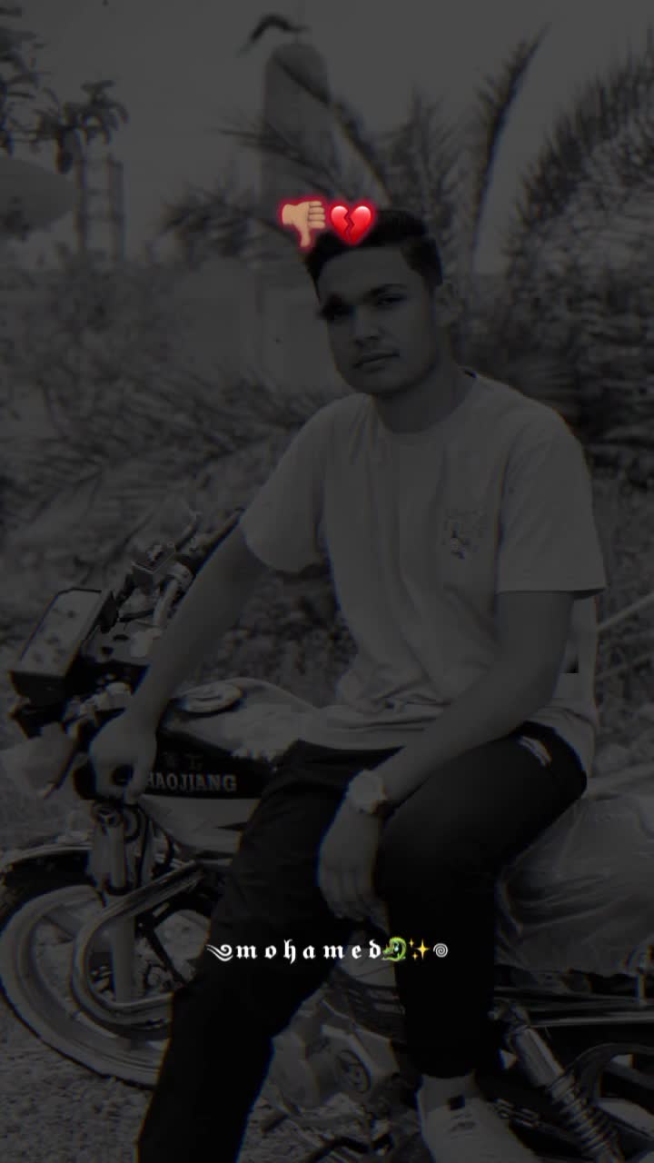 @omarsolia