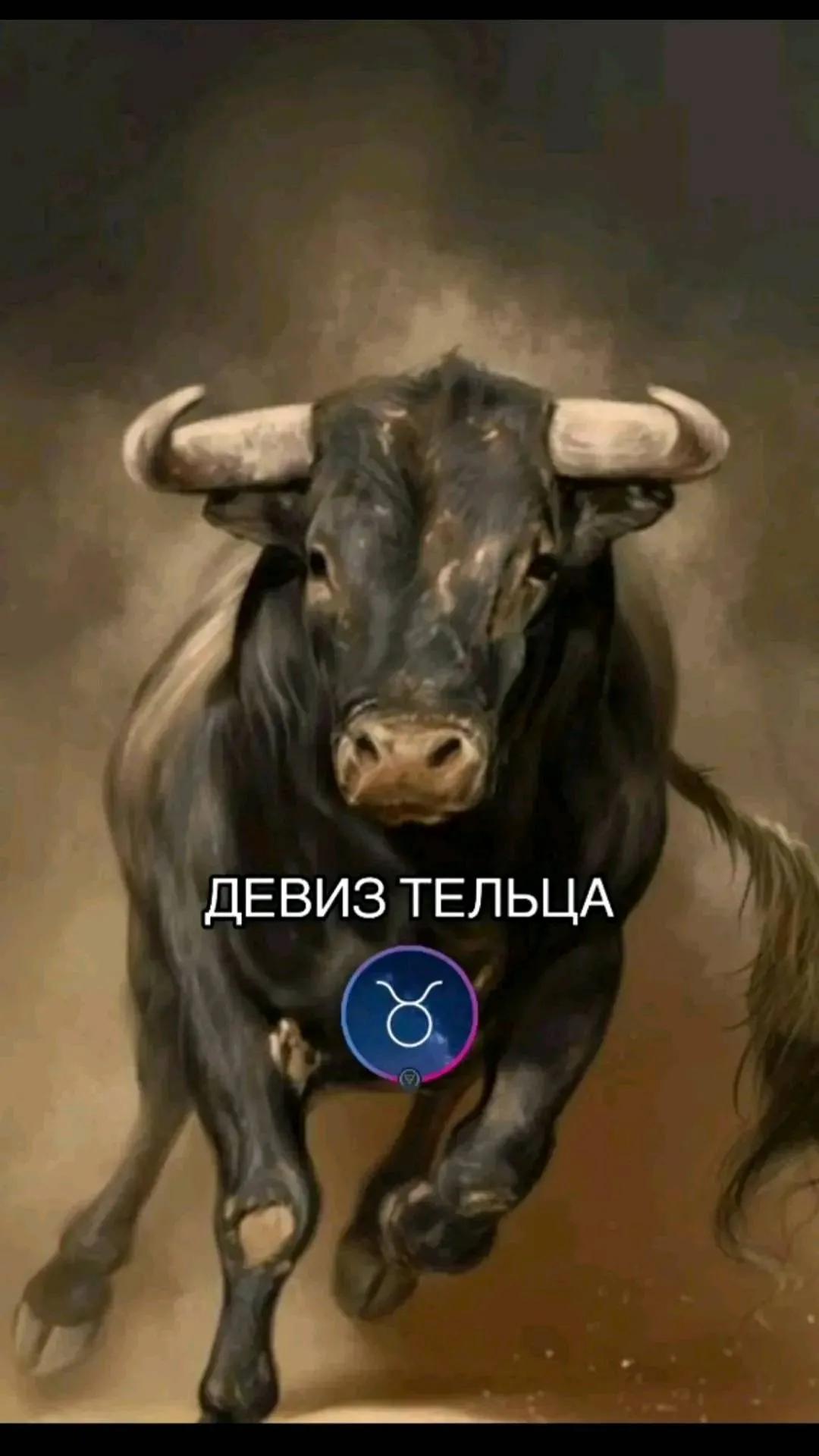 @VLASTELIN OF THE RINGS