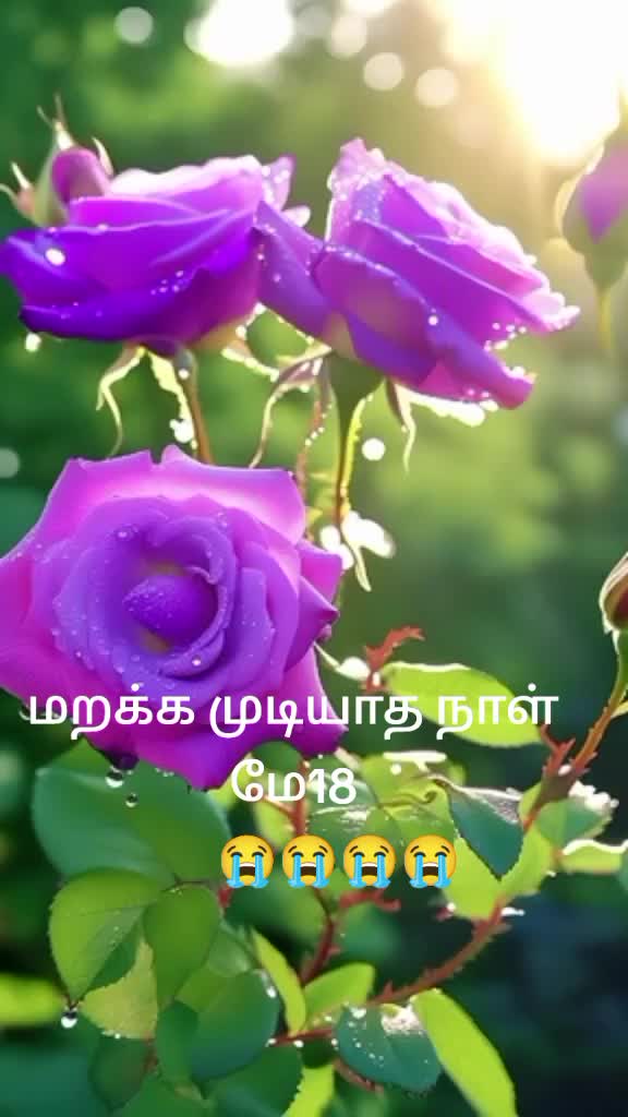 @Mathi Mathi