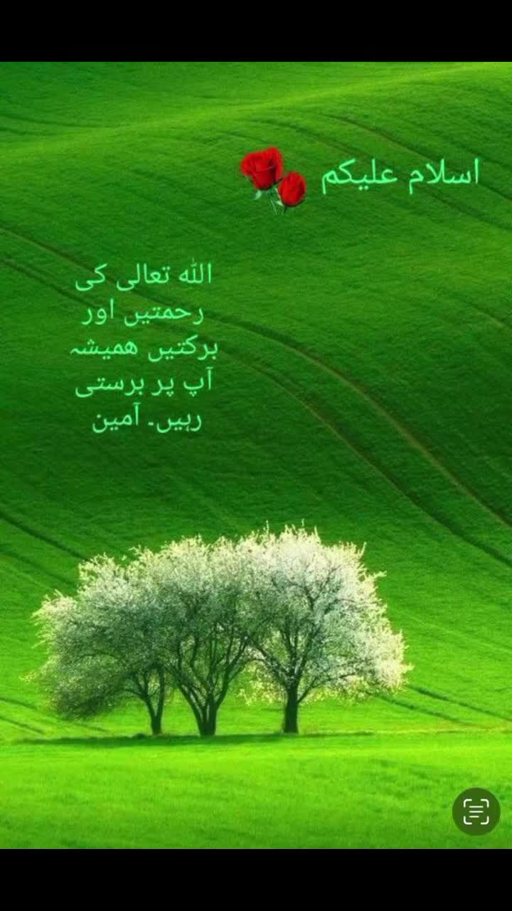 @Tahir kk