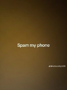 @lillyandimo