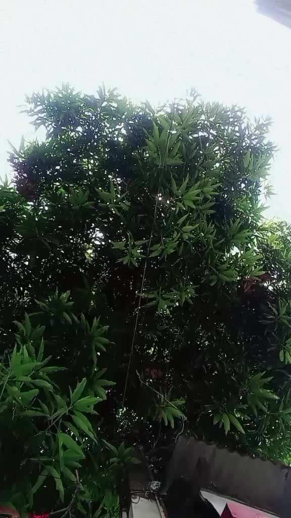 @CARTIER🔥💦