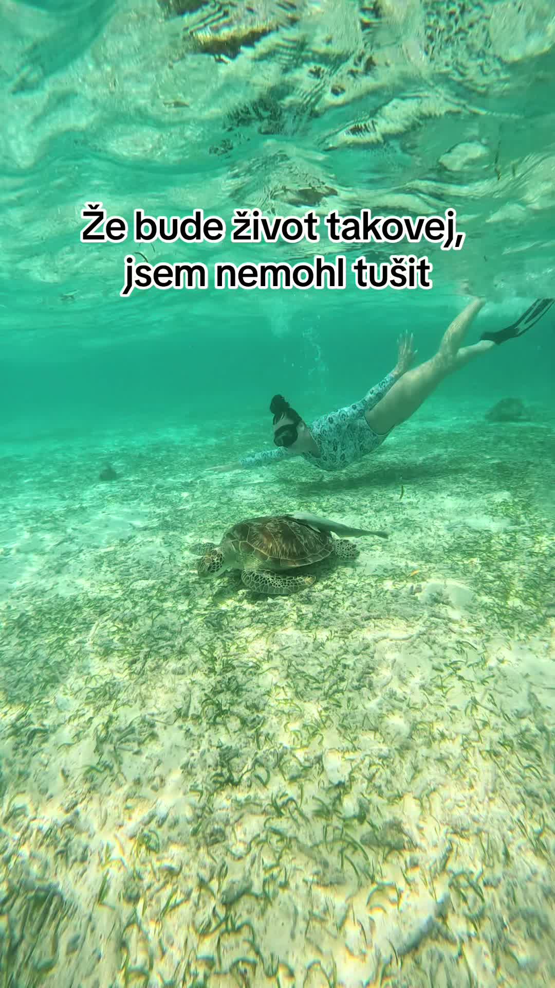 @Viktorie Petrž&iacute;lkov&aacute;