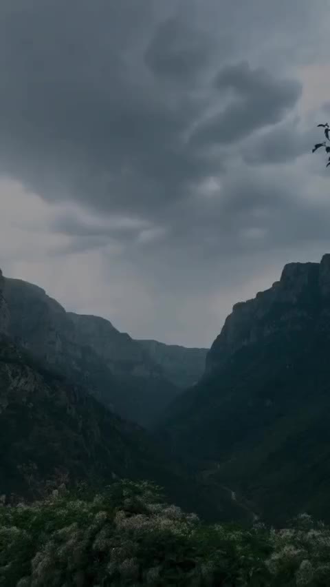 @Расиэнэрэ