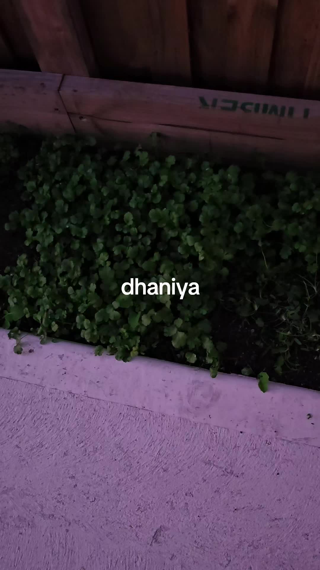 @Al_Ok