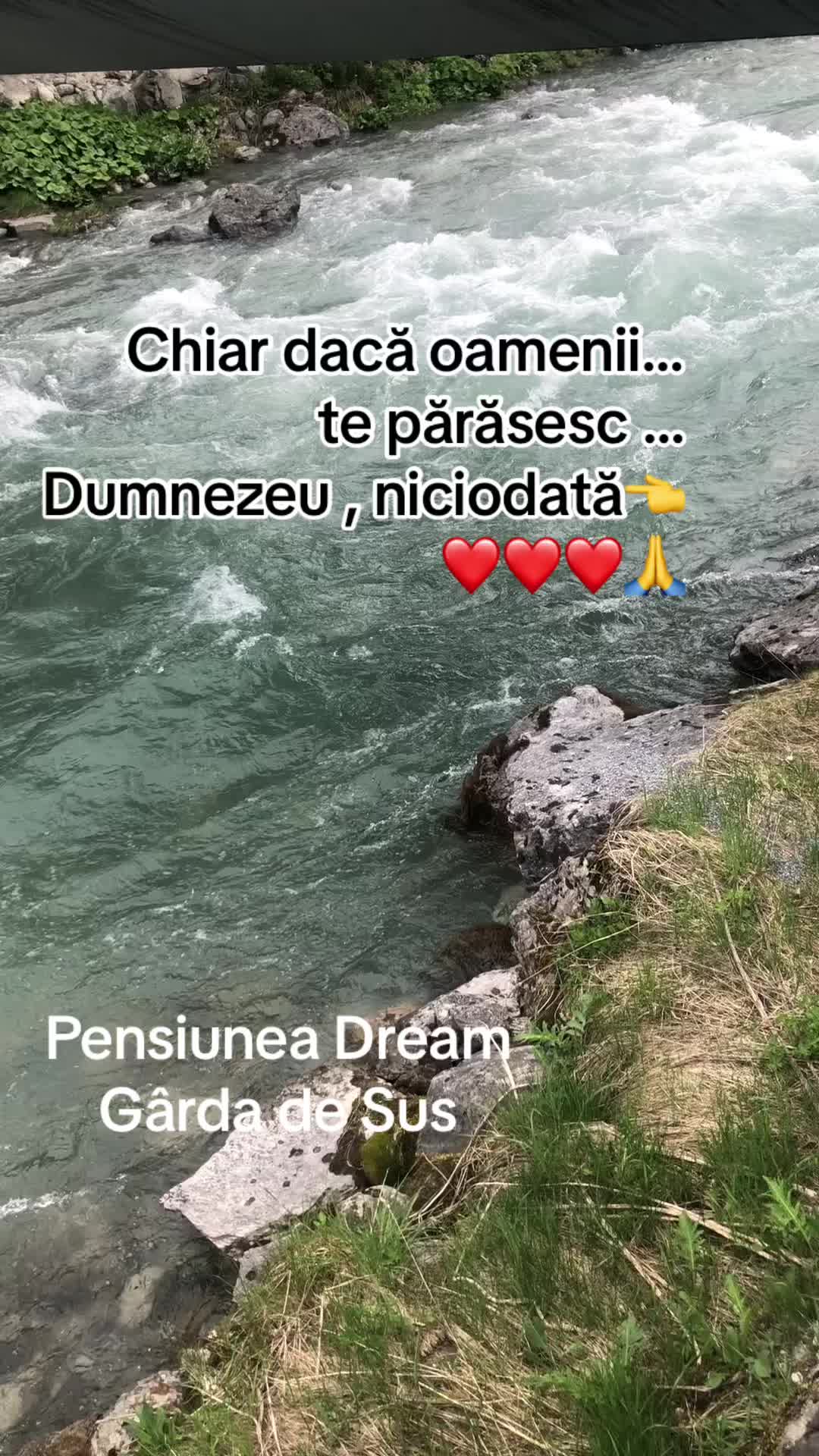 @Pensiunea Dream