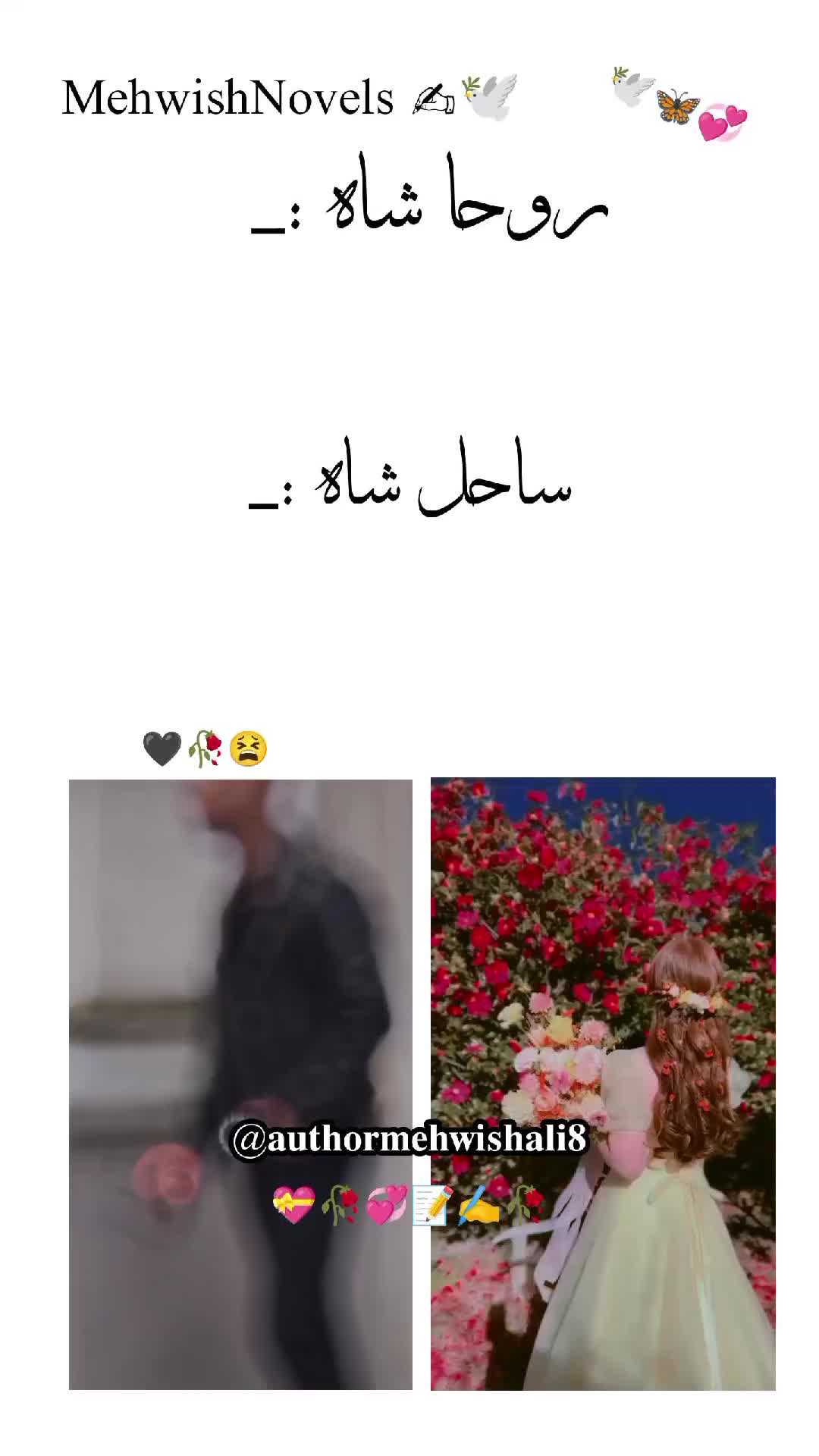 @M͢e͢h͢w͢i͢s͢h͢ A͢l͢i͢ ✍️📝🥀