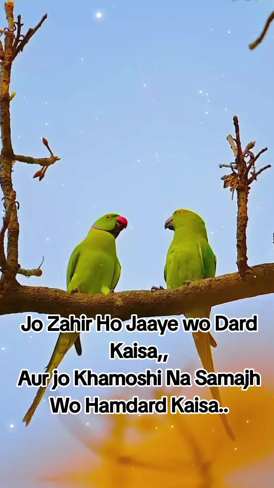 @Meawwwwwwwwww
