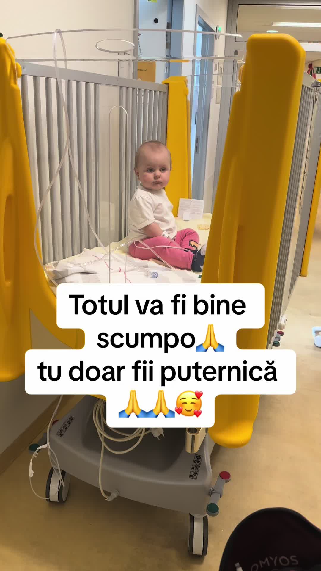 @Anișoara💎