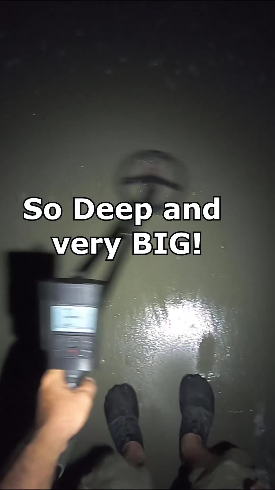 @detectormoe