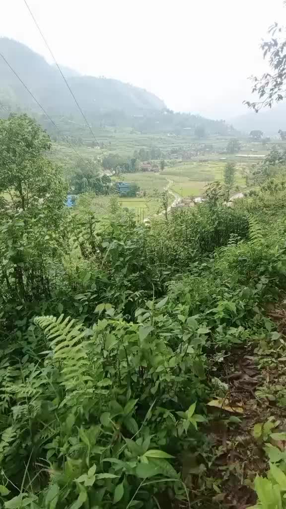 @Devi acharya