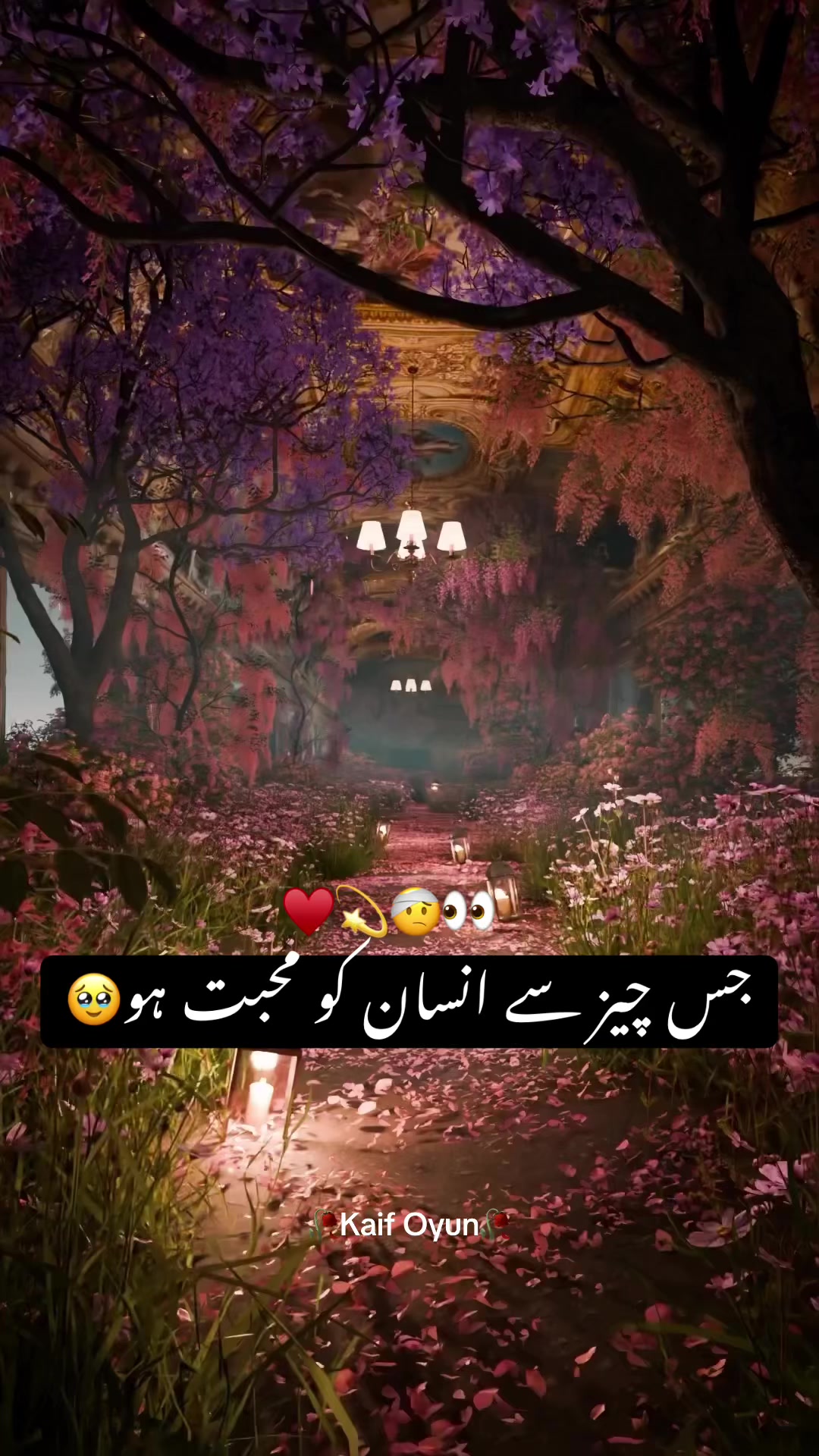 @Kaif Oyun