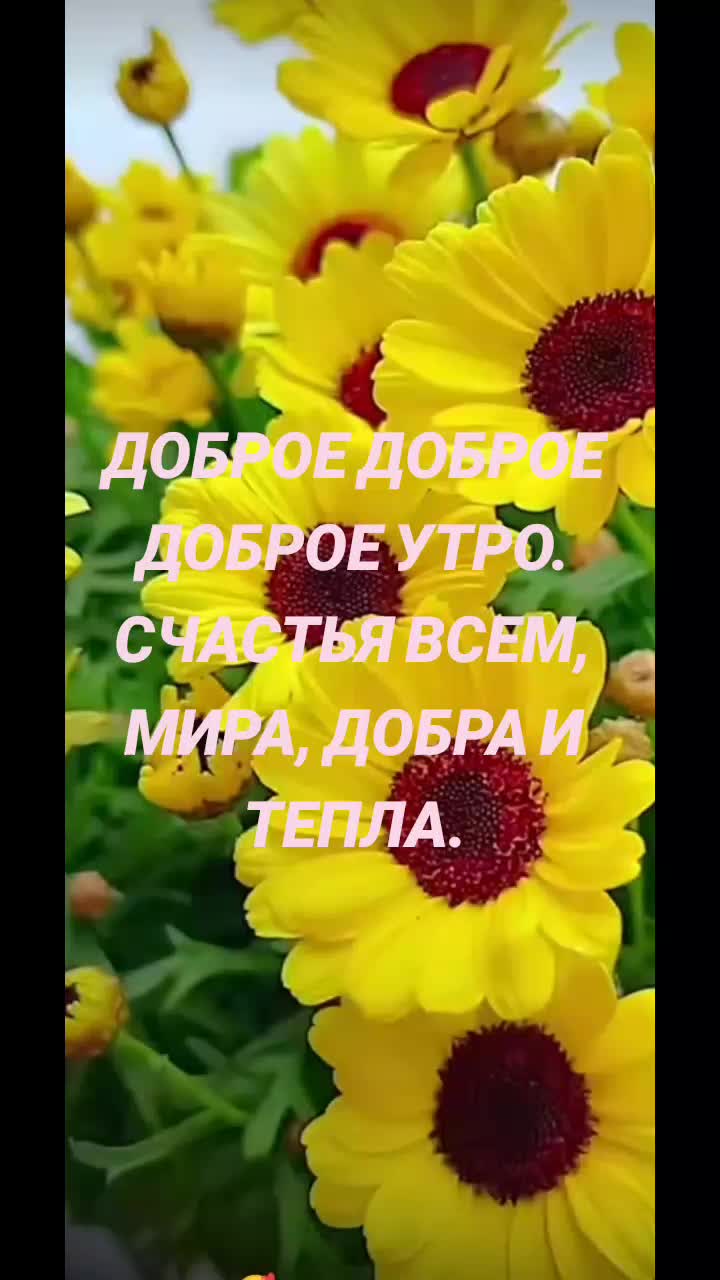 @user868645 Лидия. Срывова.