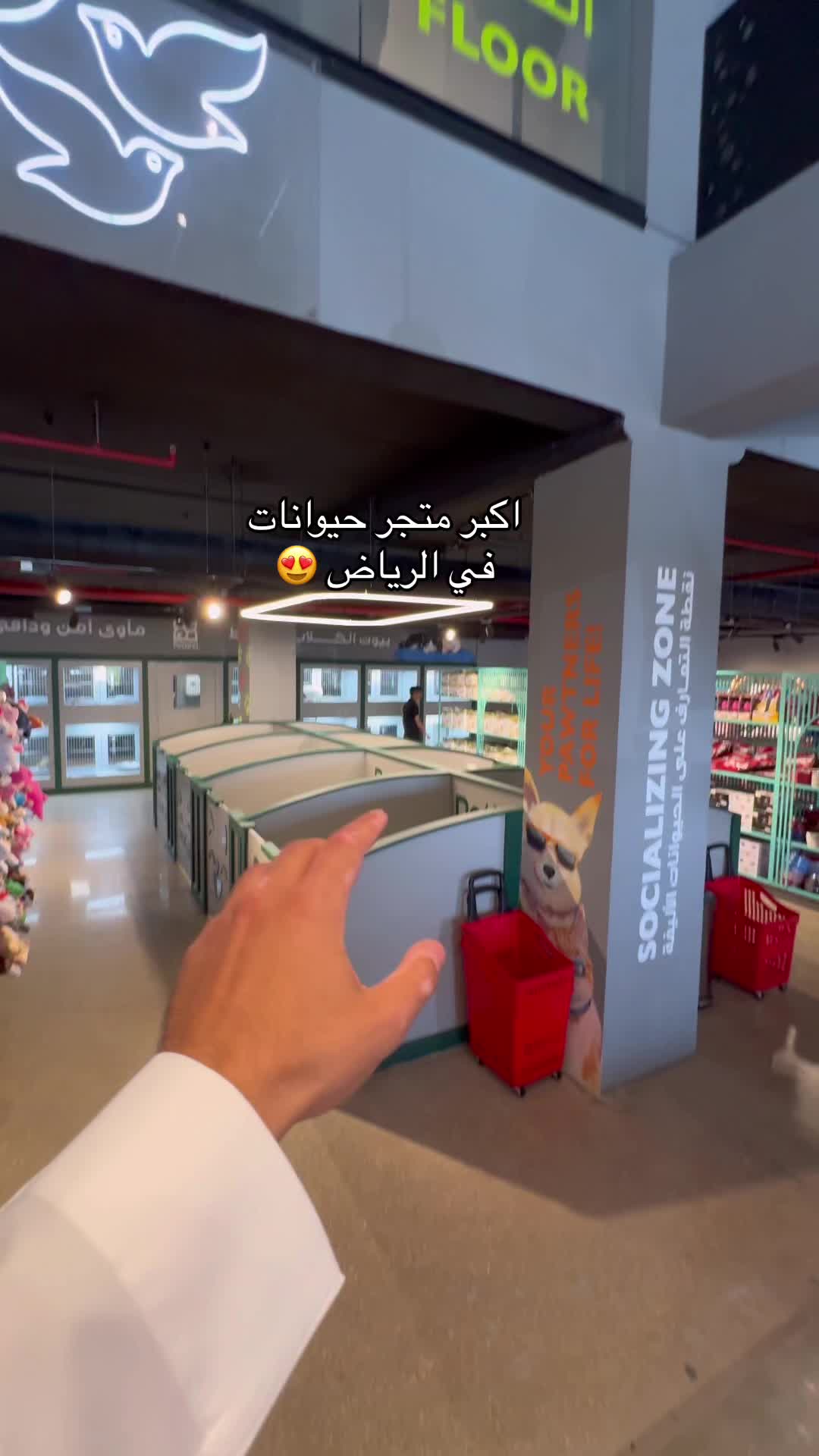 @فراس الحربي | ريـو 🫧