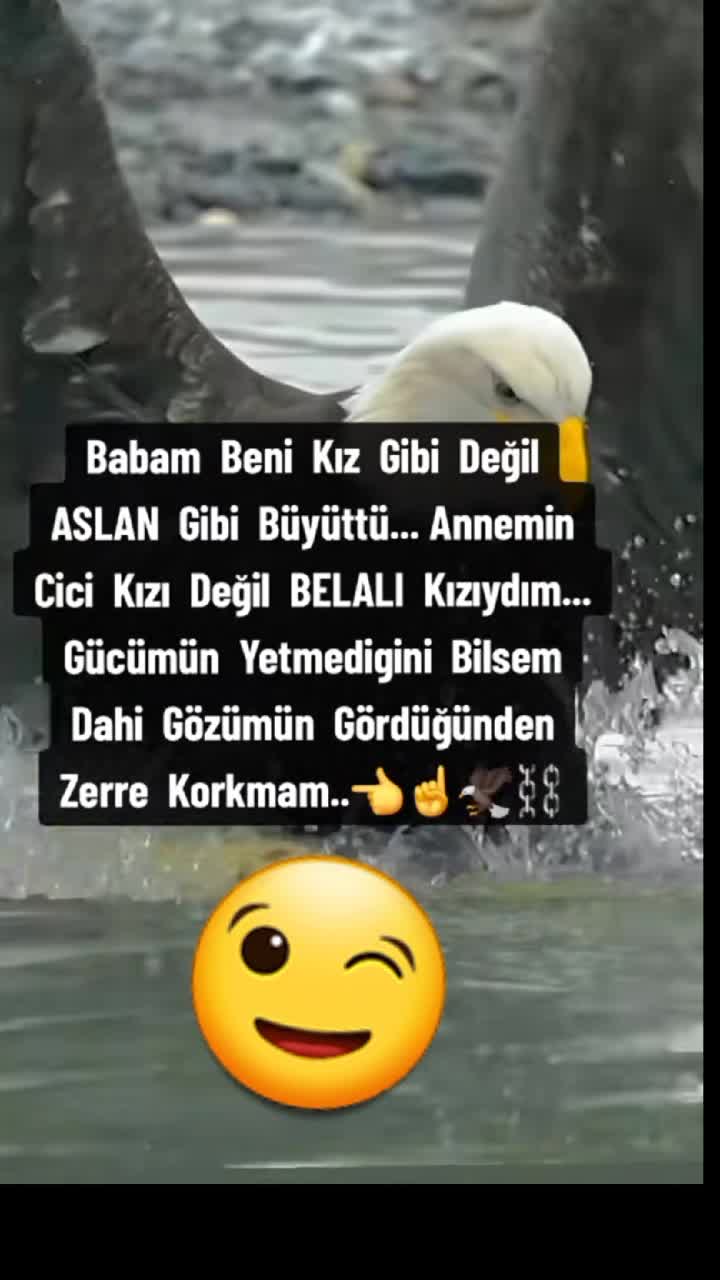 @masalperisi_eva_07