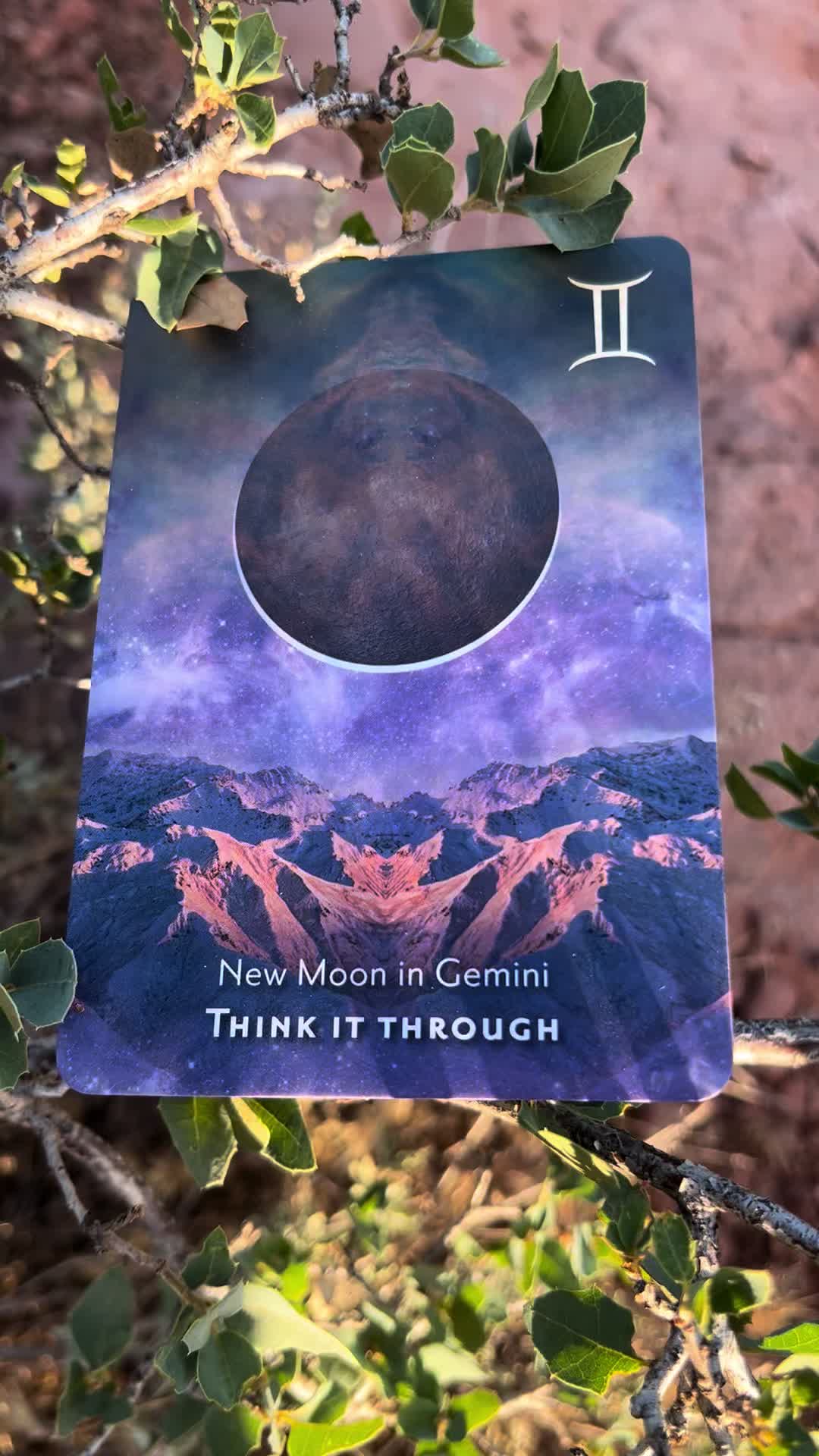 @💫 Star Keeper Oracle 🔮