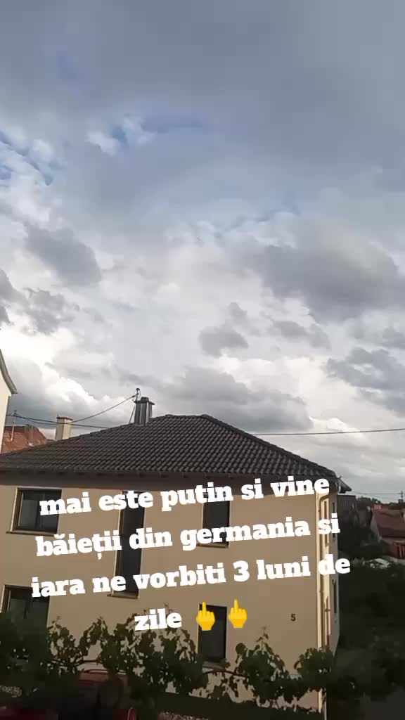 @alex_frizerul🐻☠️💇🤦💶