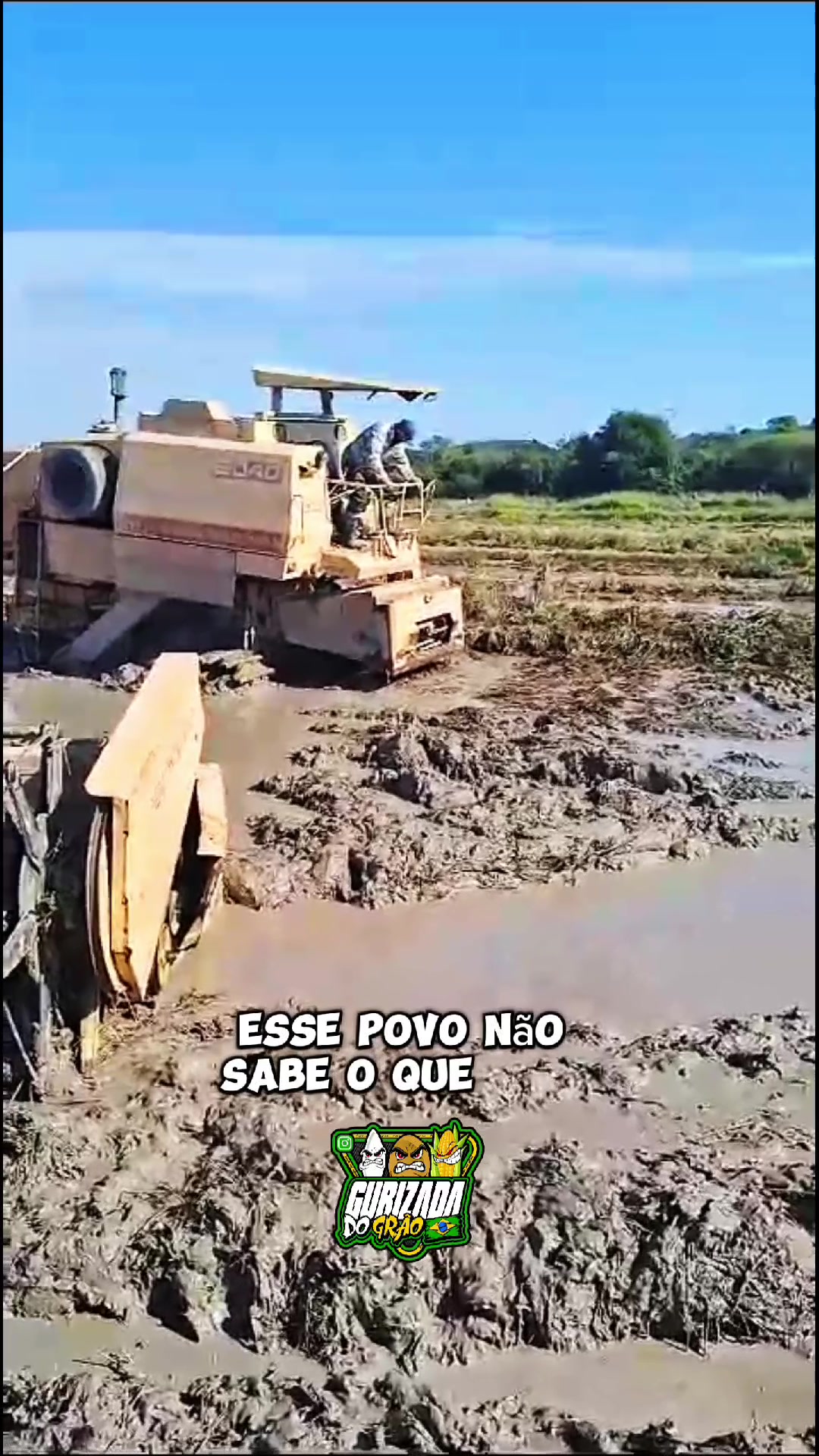 @Gurizada Do Gr&atilde;o Oficial